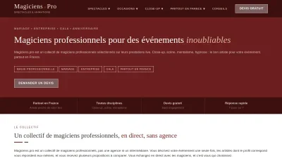 Magicien Professionnel